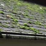 Local Roof moss removal contractors Oxfordshire, London, Berkshire & Hampshire