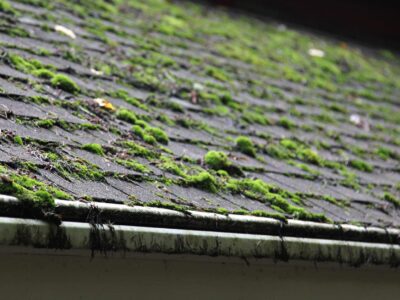 Ealing roof cleaning
