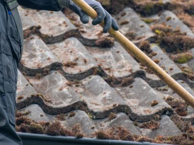 Ealing roof moss remover