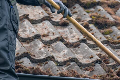 Oxfordshire, London, Berkshire & Hampshire Roof Moss Removal Experts