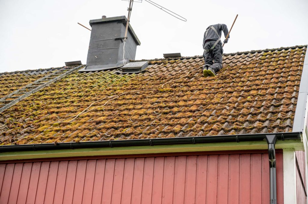 Roof moss removal Roof moss removal services Oxfordshire, London, Berkshire & Hampshire