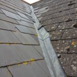 Roof moss remover Oxfordshire, London, Berkshire & Hampshire