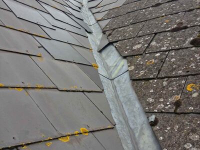 Ealing roof moss removal