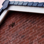 Fascia soffits replacement Oxfordshire, London, Berkshire & Hampshire
